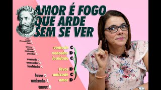 Luís de Camões  Amor é fogo que arde sem se ver [upl. by Gordie]