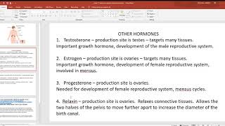 video 11 endocrine system other hormones [upl. by Ayotol622]