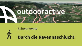 Wanderung im Schwarzwald Durch die Ravennaschlucht [upl. by Uri]