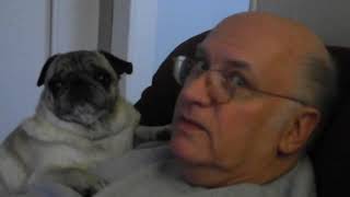 December 9 and 10 2012  dad talking to his pug bunky or baby [upl. by Naitsabes]