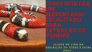 Como Montar um Serpentário Legalizado para Extração de Veneno [upl. by Gentilis964]