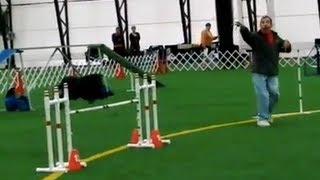 AKC Agility Distance Handling by Ron Heller [upl. by Htebsil]