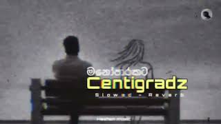 Centigradz Old Vibes Best Songs Collection  මනොපාරකට හොදම ටික centigradz old vibes viral [upl. by Celeste295]