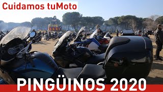 Cuidamos tuMoto en Pingüinos 2020 ¡Batiendo records [upl. by Ogdan17]