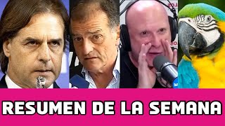 💥 ¡LACALLE echó a BJÖRGAN y MANINI amenaza a la COALICIÓN【Resumen 168】 [upl. by Beverlee]