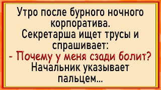 Как секретаршу по кругу пустили Сборник свежих анекдотов Юмор [upl. by Guenna187]