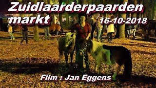 Zuidlaarderpaardenmarkt 16 10 2018 [upl. by Magan426]