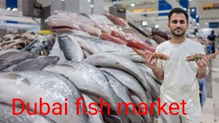 Dubai fish market ♡ waterfront fish market ♡ Update 4k HDR fish fishingvideo lobsterfishing [upl. by Arotak675]