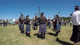 Tartan Day South 2016  Palmetto Pipes and Drums [upl. by Niasuh]