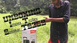 UNBOXING Impex Trolley Speaker TS25B [upl. by Frasch]