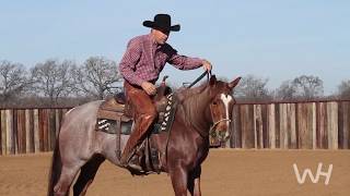 Bit Basics with Richard Winters The Loping Hackamore [upl. by Atikin]