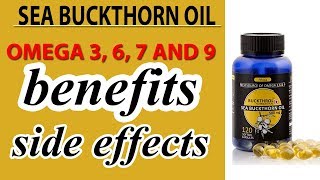 Sea Buckthorn Oil Benefits And Side Effects  Omega 3 6 7 And 9  hindi [upl. by Allina]