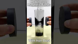 How to see Magnetic Fields with Iron Dust [upl. by Cini826]