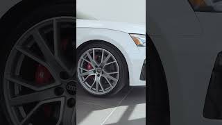 2024 Audi S5 shorts shortsvideo [upl. by Varian]