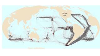 American Whaling Mapped [upl. by Desiri713]