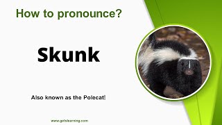 How to pronounce Skunk in English correctly [upl. by Adlemy]