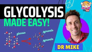 Glycolysis Made Easy [upl. by Sivrat]