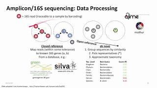 Introduction to Metagenomics for Researchers [upl. by Micro]