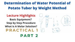 Determination of Water Potential of Potato Tuber by Weight Method  Part 2  Bot 701  Botany [upl. by Luis]