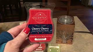 SCENTSY HAUL WITH SCENTS OF THE SEASON NOVEMBER 2024 [upl. by Heffron]