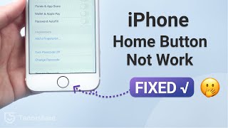 How to Fix iPhone Home Button not Working5 Ways [upl. by Marmion516]