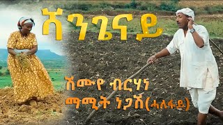 Shmuye Brhane amp mamit negash ሻንጌናይሽሙየ ብርሃነ  ማሚት ነጋሽ Official Video New Ethiopian Tigrigna 2020 [upl. by Ethelinda447]