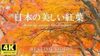 【4K】癒しBGMと美しい日本の紅葉VOL4／疲れた心身の回復・リラックス効果・勉強中や作業用、目覚めの朝に、または眠れない夜にもどうぞ。natural sound 3 hours [upl. by Briant]