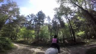 Riding in Sussex through Ashdown Forest [upl. by Ehcsrop260]