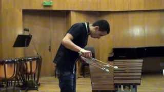 Transformation on Pachelbels quot Canon quot  by Nanae Mimura  played by Miroslav Dimov [upl. by Troth]