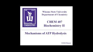 CHEM 407  ATP Hydrolysis Mechanisms [upl. by Musser154]