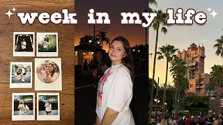 week in my life at disney world  study with me hollywood studios night and more [upl. by Hyacinthe]