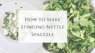 How to Make Stinging Nettle Spaetzle [upl. by Spatz273]