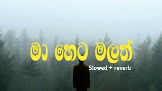 Tharahak Na Adath තරහක් නෑ අදත්  Slowed  reverb [upl. by Germana]