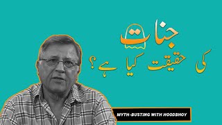 Jinnat ki Haqiqat  The Scientific Explanation of Jinns  Pervez Hoodbhoy [upl. by Hnib698]