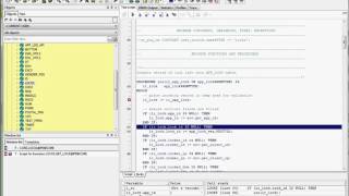 PLSQL Developer Debugger [upl. by Onafets117]