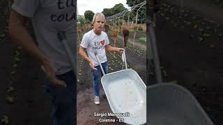 ColatinaES produzindo a qualidade que o Brasil usa Video gravado em 260121ho [upl. by Yrailih]