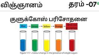 07th Science SL Tests to identify food [upl. by Valentin155]