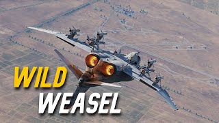 DCS  F4E Phantom  Wild Weasel  Cinematic [upl. by Namsu]