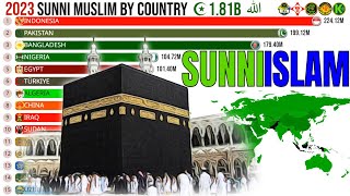 Top Sunni Muslims Population in the World by Country [upl. by Tamah940]