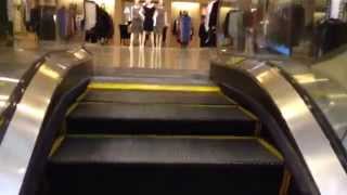 Schindler Escalators At Nordstrom Woodfield Mall In Schaumburg IL [upl. by Annua]