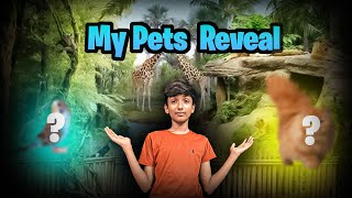 My Pets Reveal 🥰🥰 II Vlog  5 [upl. by Lednek]