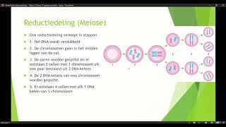 Klas 3 Mavo Thema 1 Organen en Cellen basisstof 6 Reductiedeling ook wel Meiose [upl. by Colley]