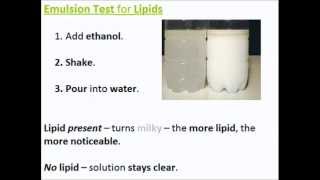 Biochemical Tests for Molecules  A Level AS Biology Revision [upl. by Junia987]