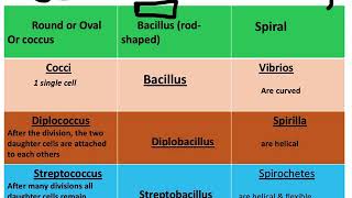 Botany  Eubacteria amp Archaebacteria [upl. by Nnaeus]