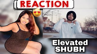 Reaction on Elevated  Music video  SHUBH [upl. by Nonad700]