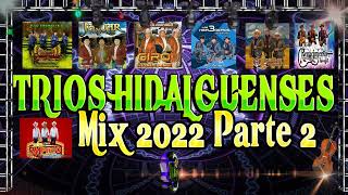 TRIOS DE LA HUASTECA HIDALGUENSE MIX 2022 PARTE 2 [upl. by Phillipe]