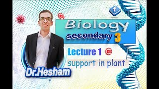 lecture 1 support in plant biology sec 3 20242025 [upl. by Nosiaj]