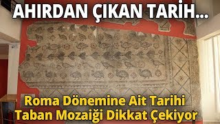 Ahırdan Çıkan Tarih Roma Dönemine Ait Tarihi Taban Mozaiği Dikkat Çekiyor [upl. by Par255]