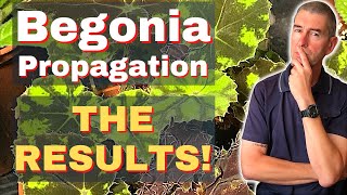 Begonia Propagation 🎉 RESULTS 🥳 [upl. by Von]