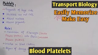 Blood Platelets  Thrombocytes  Blood Cells  Class 11 Biology [upl. by Aneri]